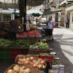 Local Markets - Nesher