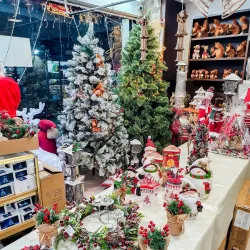 Local Markets - Nesher