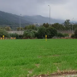 Nesher Industrial Area - Nesher