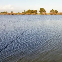 Nesher Industrial Area - Nesher