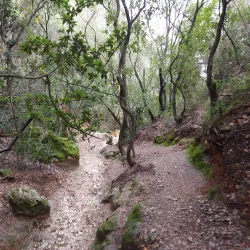 Nesher Park - Nesher