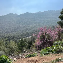 Nesher Park - Nesher