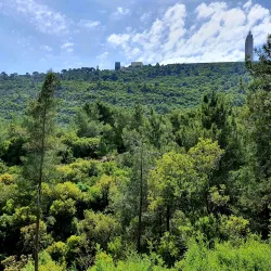 Nesher Park - Nesher