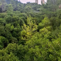 Nesher Park - Nesher