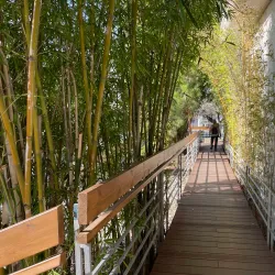 Tikotin Museum of Japanese Art, Haifa - Nesher