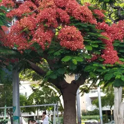 Sha'ar Ha'aliya Park - Netanya