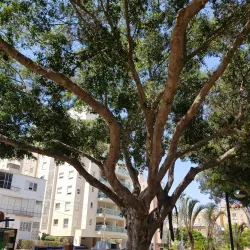 Sha'ar Ha'aliya Park - Netanya