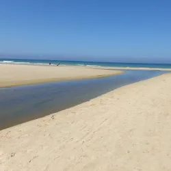 The Alexander River Park - Netanya