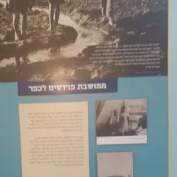 The Open Museum of Netanya - Netanya
