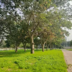 The Winter Pond Park (Agam HaKefar) - Netanya