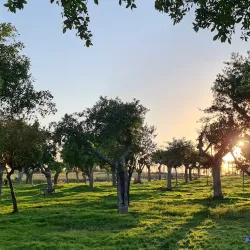 The Winter Pond Park (Agam HaKefar) - Netanya