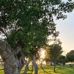 The Winter Pond Park (Agam HaKefar) - Netanya