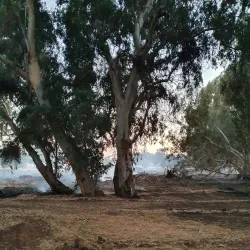 The Winter Pond Park (Agam HaKefar) - Netanya