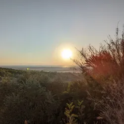 Ein Hod Artists' Village (nearby) - Pardes Hanna-Karkur (Pardeshanah)