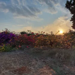 Hiking Trails Around Pardes Hanna-Karkur - Pardes Hanna-Karkur (Pardeshanah)