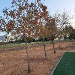 Hiking Trails Around Pardes Hanna-Karkur - Pardes Hanna-Karkur (Pardeshanah)