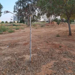 Hiking Trails Around Pardes Hanna-Karkur - Pardes Hanna-Karkur (Pardeshanah)