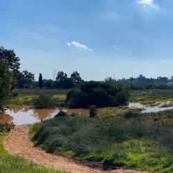 Hiking Trails Around Pardes Hanna-Karkur - Pardes Hanna-Karkur (Pardeshanah)