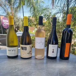 Local Wineries and Vineyards - Pardes Hanna-Karkur (Pardeshanah)