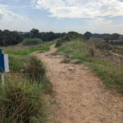 Nahal Poleg Nature Reserve - Pardes Hanna-Karkur (Pardeshanah)