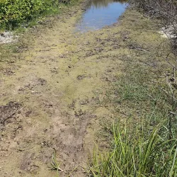 Nahal Poleg Nature Reserve - Pardes Hanna-Karkur (Pardeshanah)