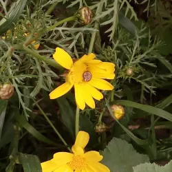 Nahal Poleg Nature Reserve - Pardes Hanna-Karkur (Pardeshanah)