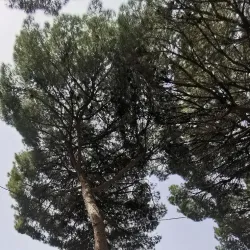 Pardes Hanna Park - Pardes Hanna-Karkur (Pardeshanah)