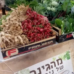 Pardes Hanna Park - Pardes Hanna-Karkur (Pardeshanah)