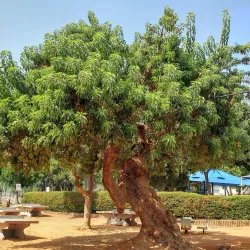 Em HaMoshavot Park - Petah Tikva