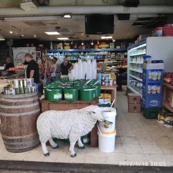 Petah Tikva Market (Shuk) - Petah Tikva