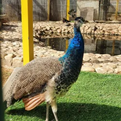 Raanana Botanical Garden - Raanana