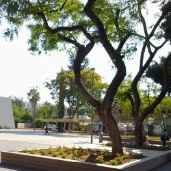 Raanana Community Center - Raanana