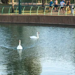 Raanana Park - Raanana