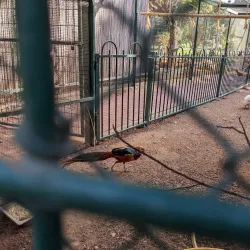 Raanana Park - Raanana