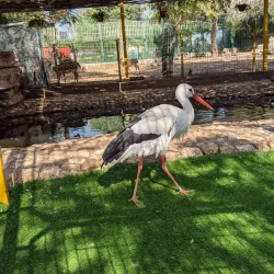 Raanana Park - Raanana