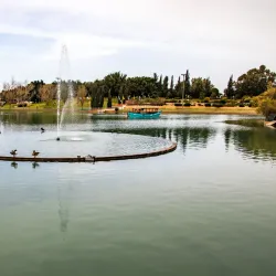 Raanana Park - Raanana