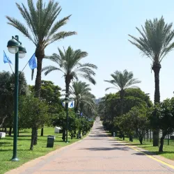 Raanana Park - Raanana