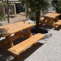 Al-Qasr Bedouin Tent Experience - Rahat