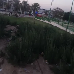 Bedouin Market (Souq) in Rahat - Rahat