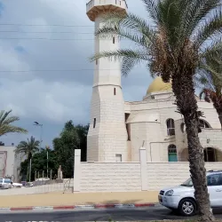 Negev Desert - Rahat