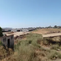 Negev Desert - Rahat