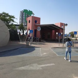 Negev Desert - Rahat