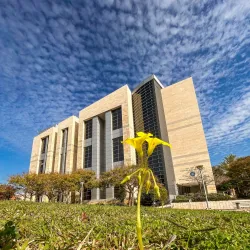 Bar Ilan University - Ramat Gan