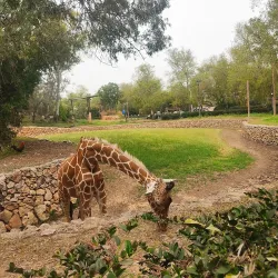 Ramat Gan National Park - Ramat Gan