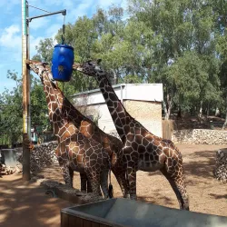 Ramat Gan Safari Aquarium - Ramat Gan