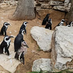 Ramat Gan Safari Aquarium - Ramat Gan