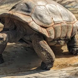 Ramat Gan Safari Aquarium - Ramat Gan