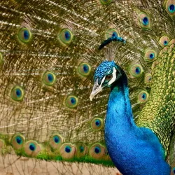 Ramat Gan Safari Aquarium - Ramat Gan