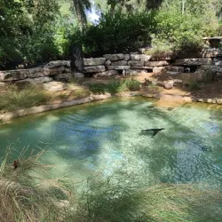 Ramat Gan Safari - Ramat Gan