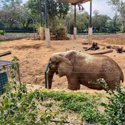 Ramat Gan Safari - Ramat Gan